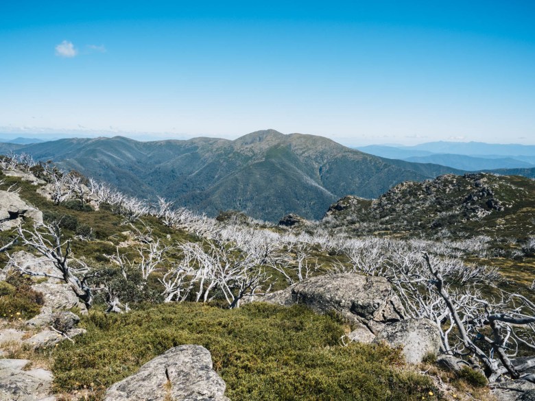 Vista del monte Feathertop desde el monte Jaithmathang