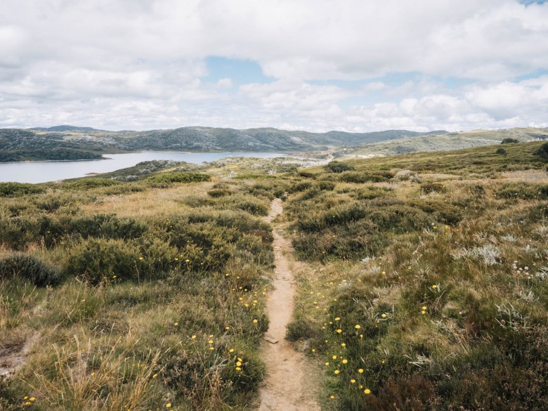 Pista de espuelas Heathy