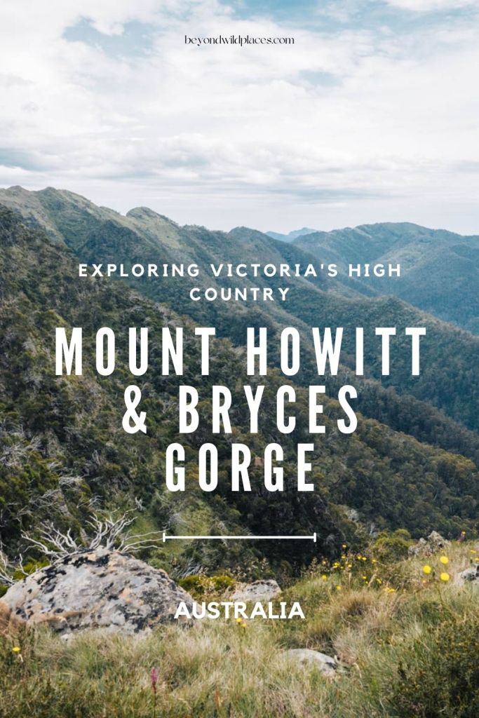 Alfiler de la caminata Mount Howitt