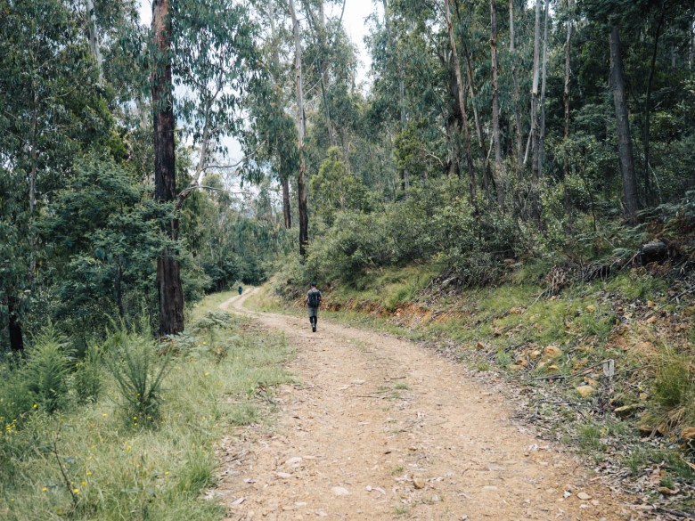 Camine de regreso al comienzo del sendero en Mountain Creek Road