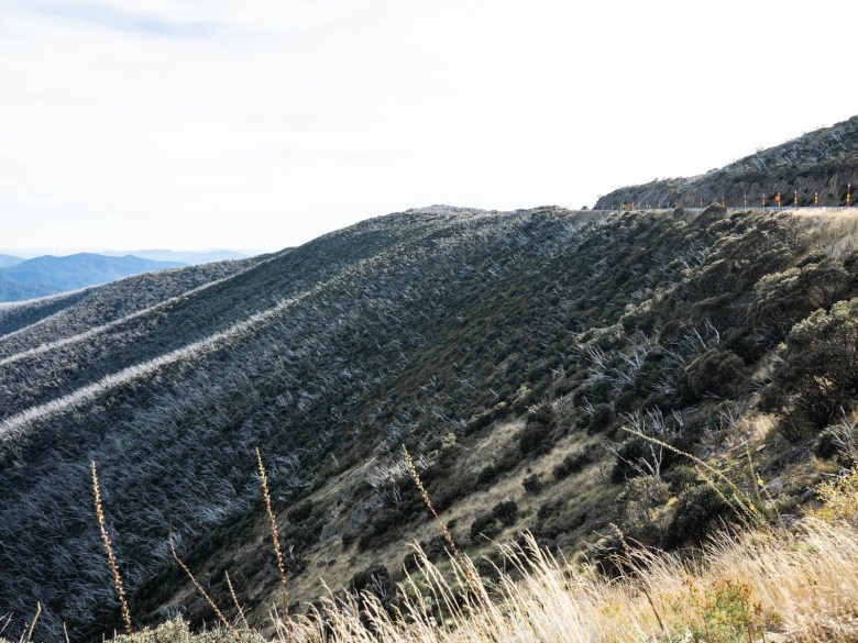 Gran camino alpino