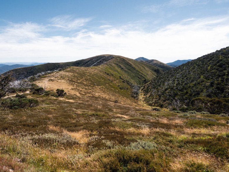 Vista del sendero Razorback