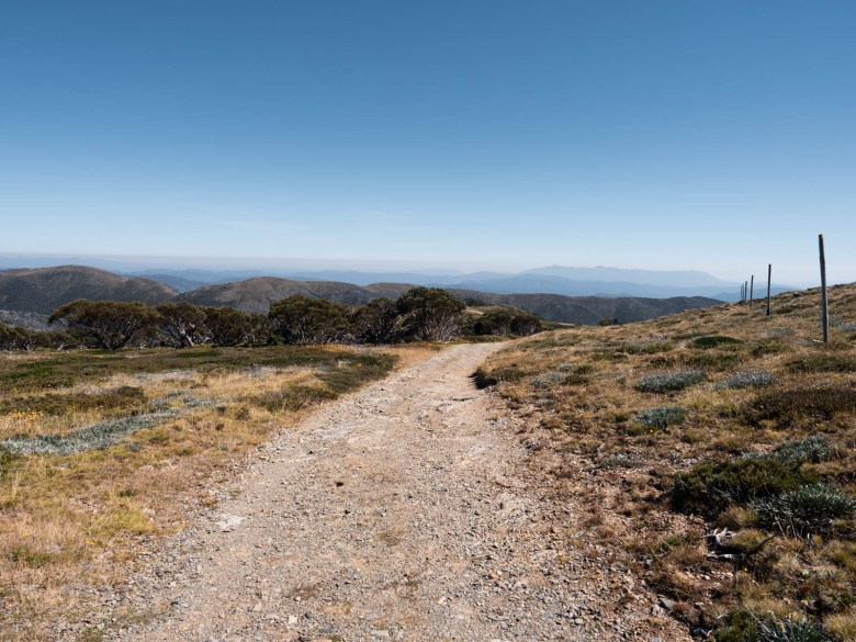 Maquinaria Spur Track