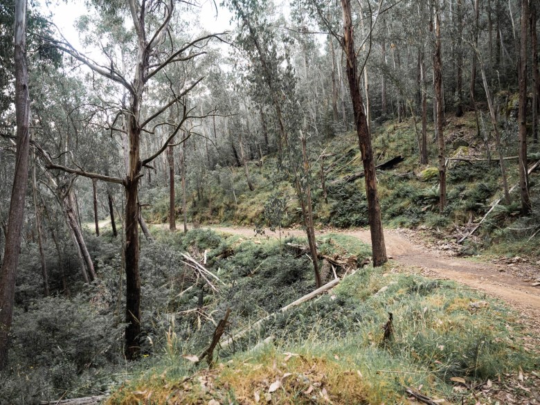 La pista de escalera 4WD