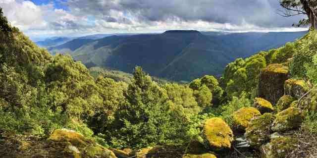 Mirador de Barrington Tops Thunderbolt
