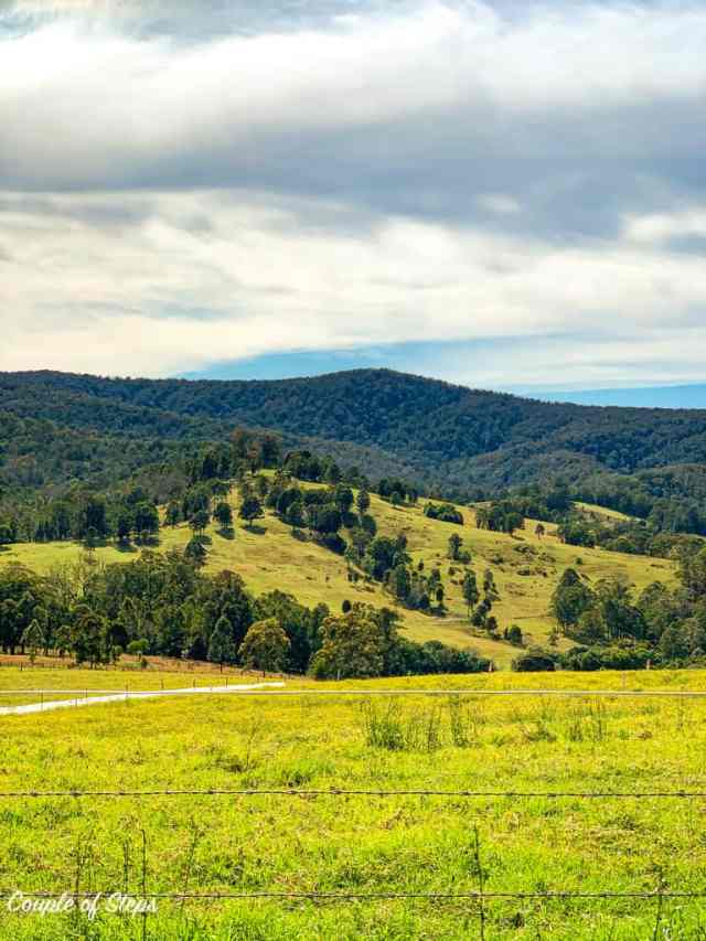 Grandes unidades de campo - Dungog