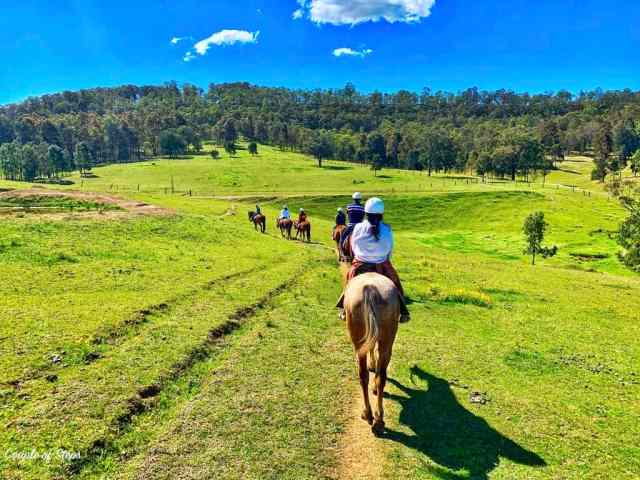 Aventuras y equitación en Hunter Valley, Lovedale