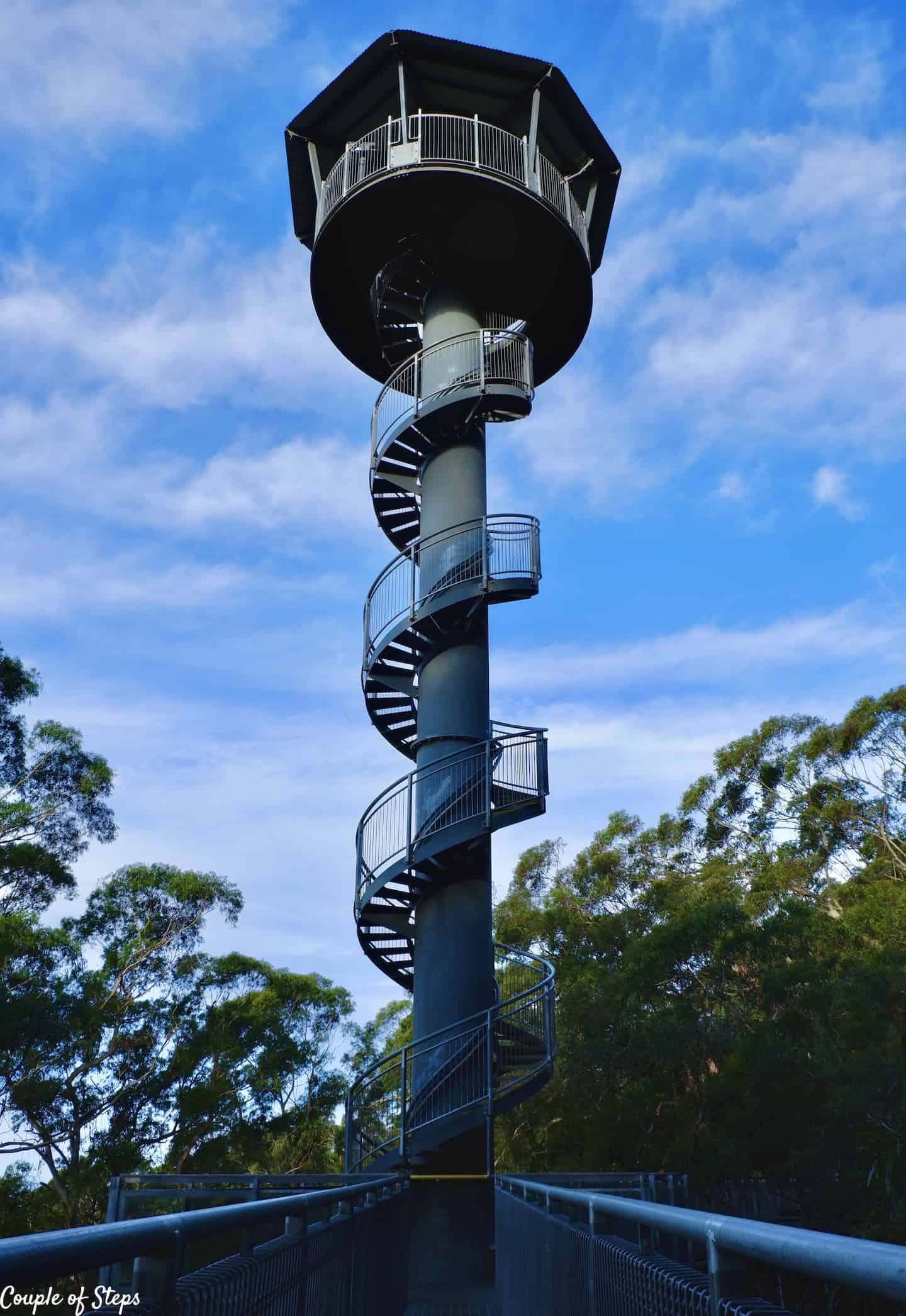 Paseo por las copas de los árboles en Illawarra Fly Treetop Adventures | par de pasos