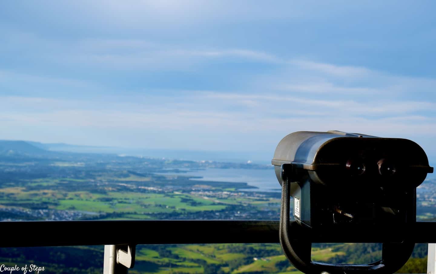 Vista desde la cima en Illawarra Fly Treetop Adventures | par de pasos